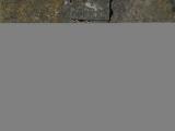 image of grave number 317769